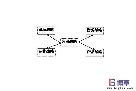 公司戰(zhàn)略